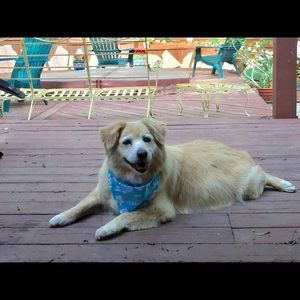 Meet your Posher, Maria